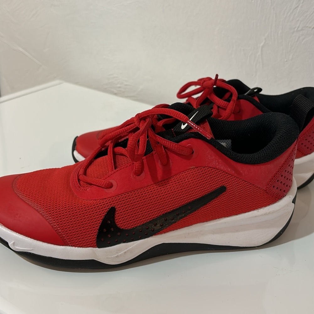 Nike Omni Multi Court